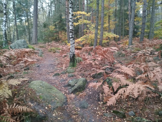 Podkrkonosi2
